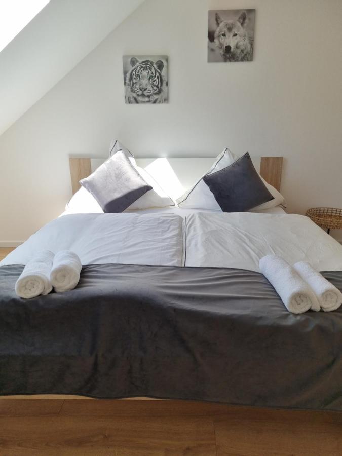 A&F Hotel Chemnitz Dış mekan fotoğraf